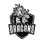 Logo klubu - Black Dragons Team