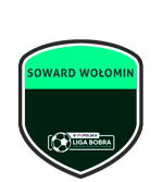 Logo klubu - Soward Wołomin